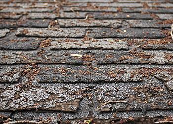 Quality Roofing Group Images